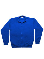 Kobaltblauw (PMS 2145C)