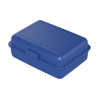 standaard blauw PP