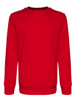 Rood (PMS 186c)